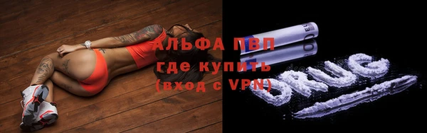 стаф Алексин
