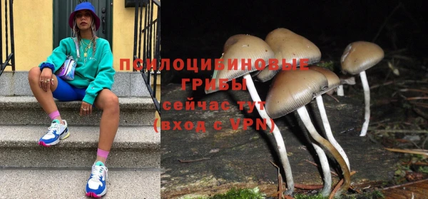 бошки Аркадак