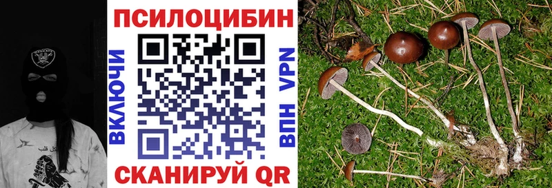 дарнет шоп  Заозёрск  KRAKEN ссылки  Галлюциногенные грибы MAGIC MUSHROOMS 