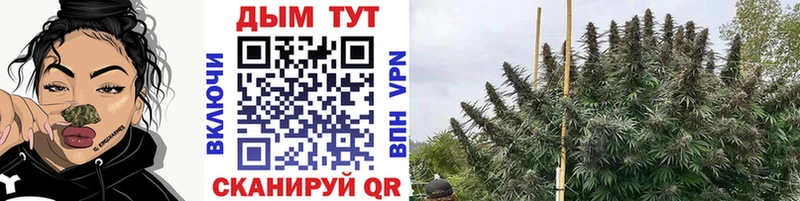 наркота  гидра   Бошки марихуана THC 21%  Заозёрск 